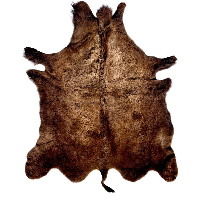 Buffalo / Bison Rug  Hide - Deluxe - LARGE - 006