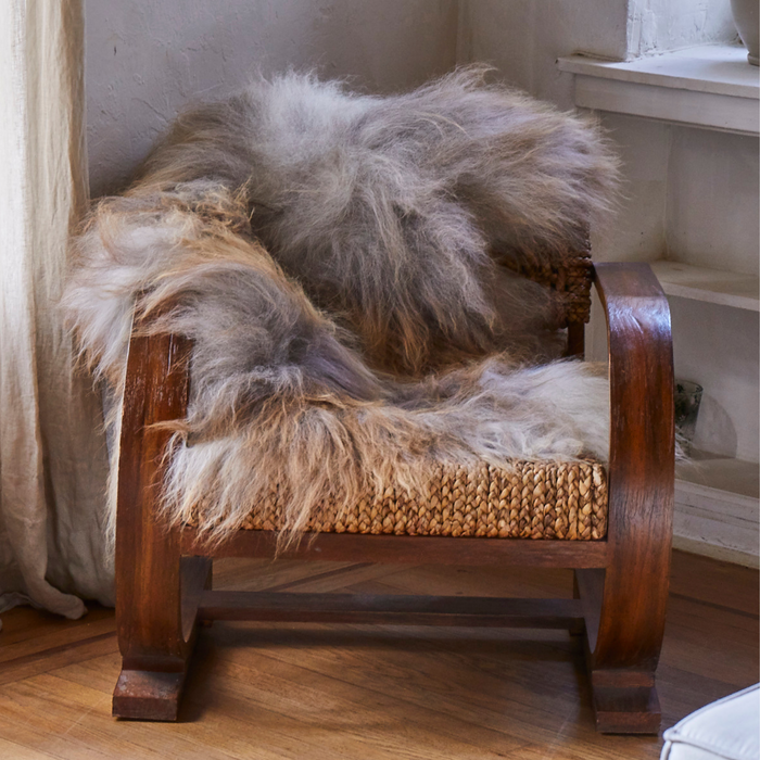 Rare Tricolor Icelandic Sheepskin