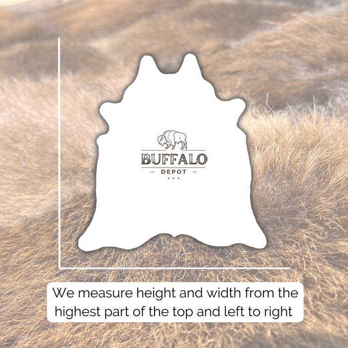 Buffalo / Bison Rug  Hide - Deluxe - XL