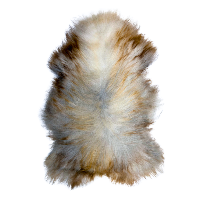 Rare Tricolor Icelandic Sheepskin