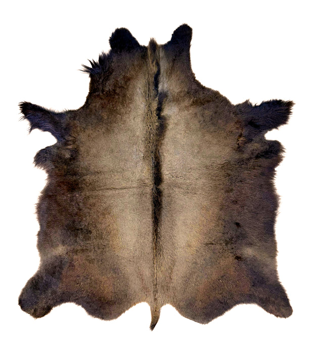 Buffalo / Bison Rug  Hide - Deluxe - LARGE