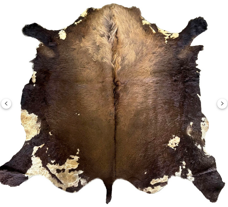 Buffalo / Bison Rug  Hide - Third Grade