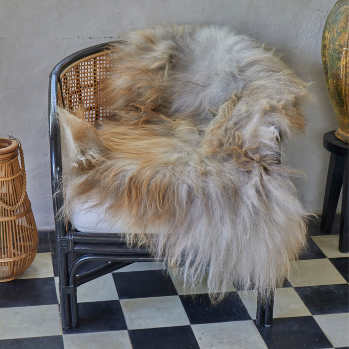 Rare Tricolor Icelandic Sheepskin